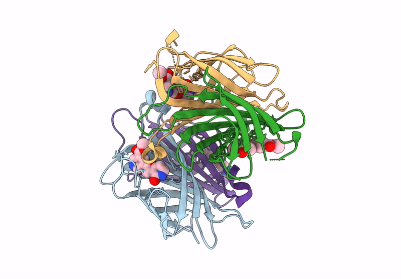 8Y23 image