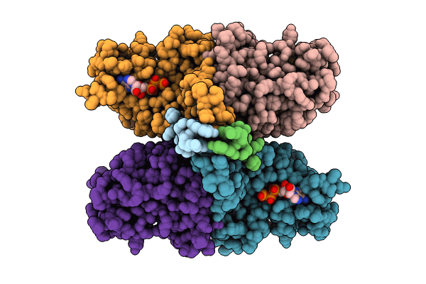 8Y2H image