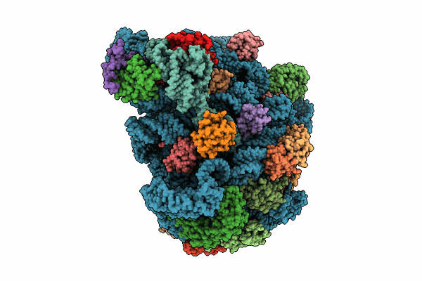 8Y36 image