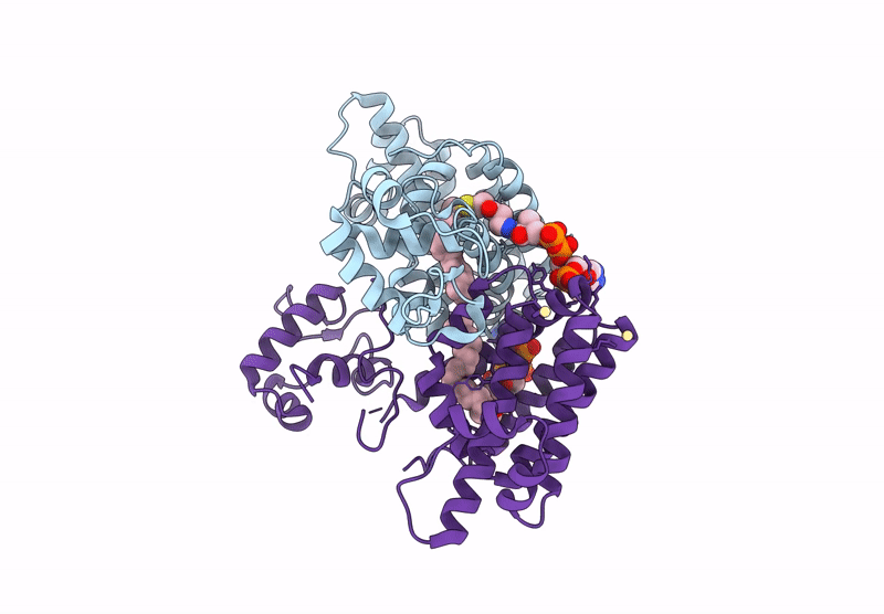 8Y41 image