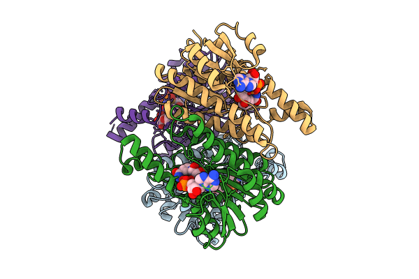 8Y4B image