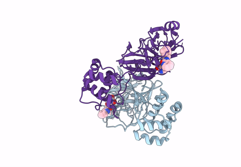 8Y4D image