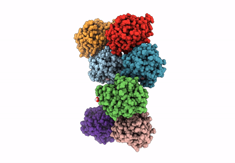 8Y4I image