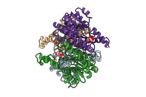 8Y4J image