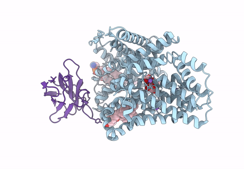 8Y4W image