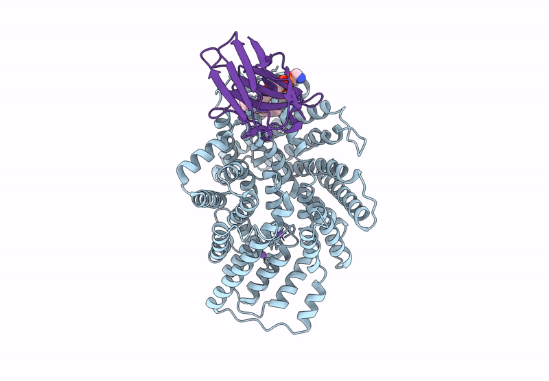 8Y4X image