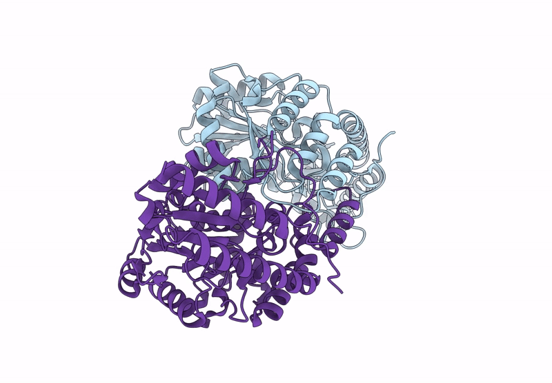 8Y54 image