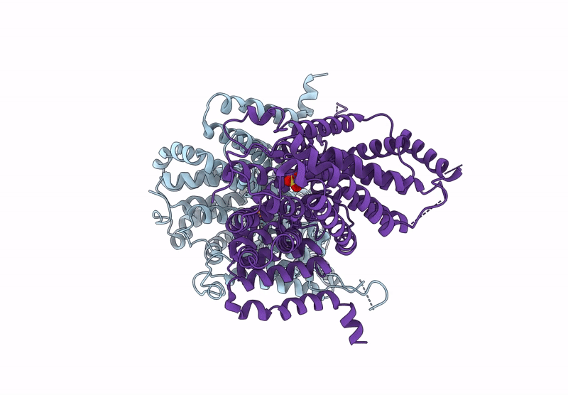8Y5W image