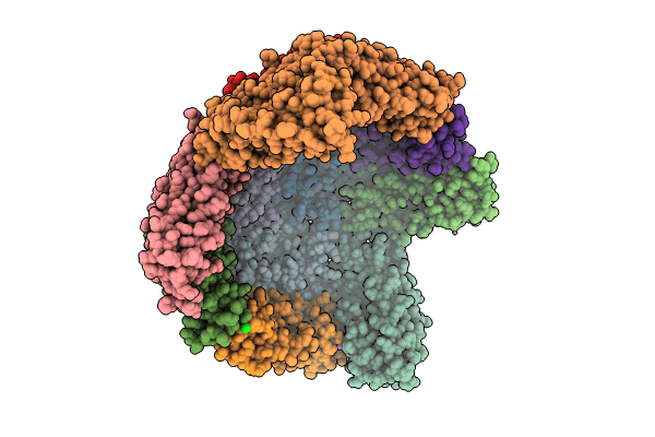 8Y6F image