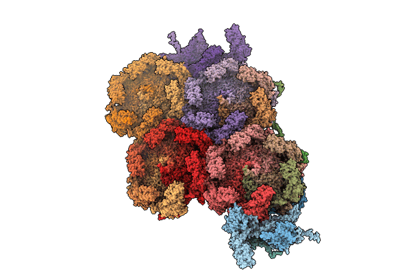 8Y6V image