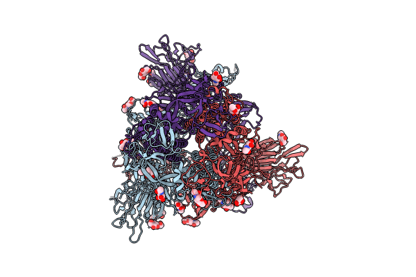 8Y8C image
