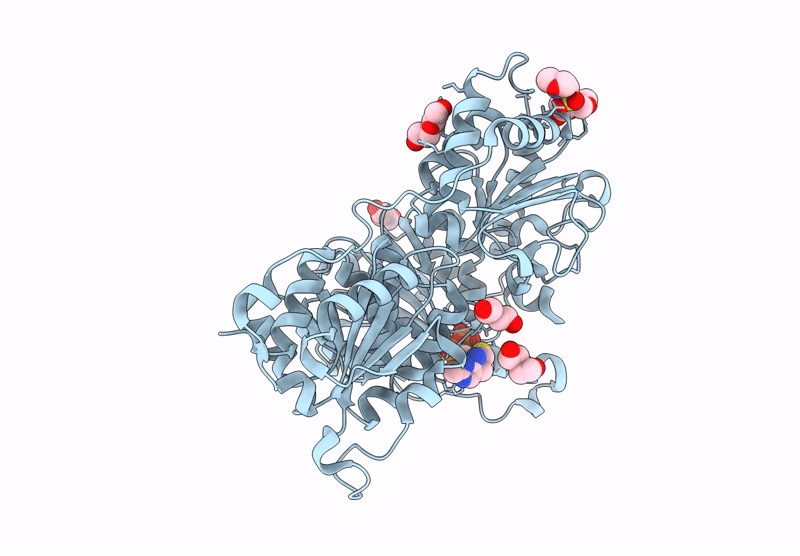 8Y8M image
