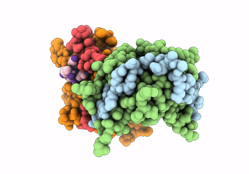 8Y9V image