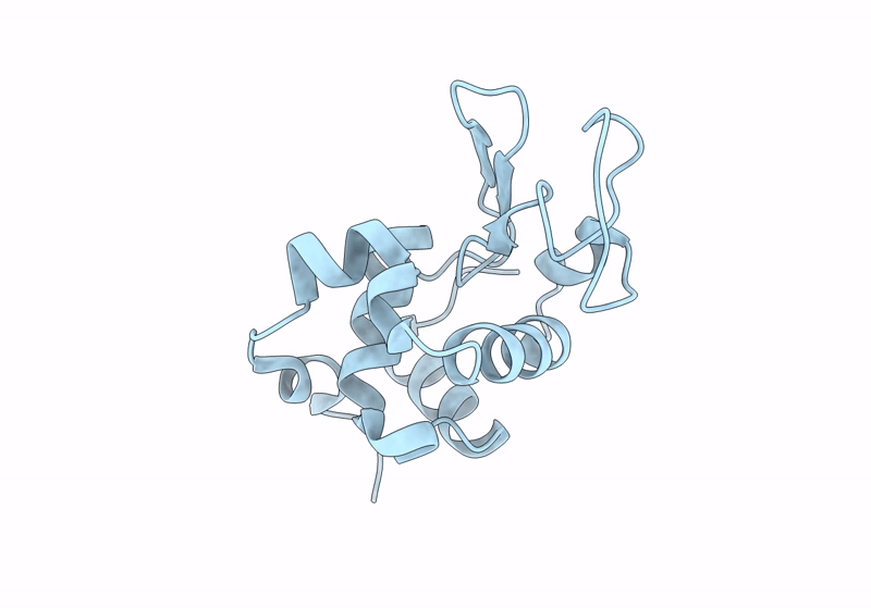 8Y9W image