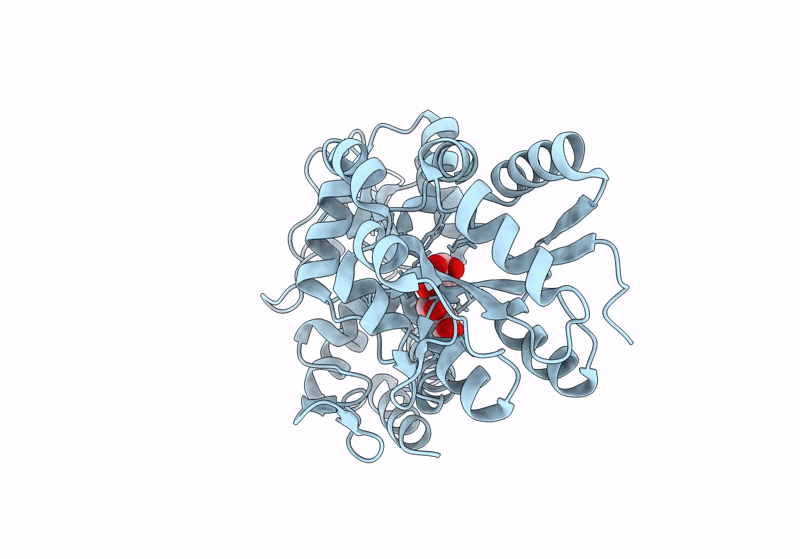 8YBE image
