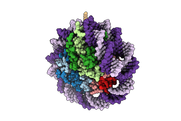 8YBK image