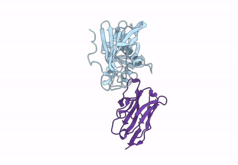 8YBP image