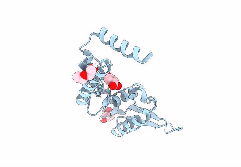 8YCV image