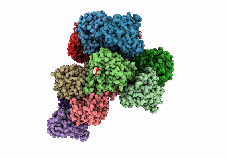 8YEB image