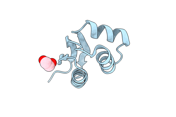 8YEQ image