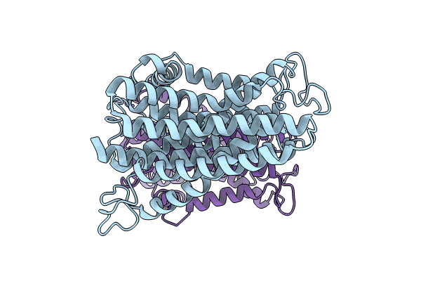 8YEX image