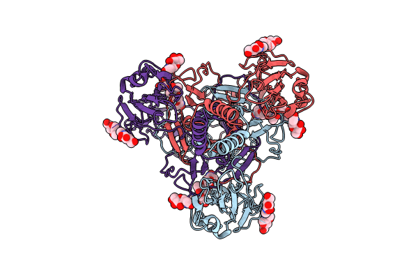 8YG6 image