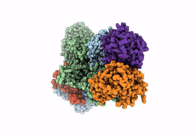 8YGC image