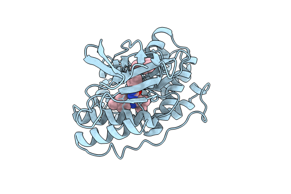 8YGW image