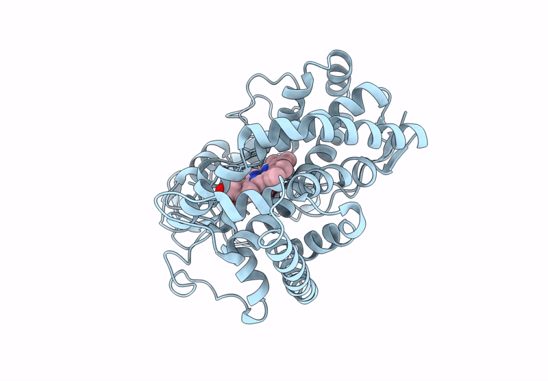 8YHN image