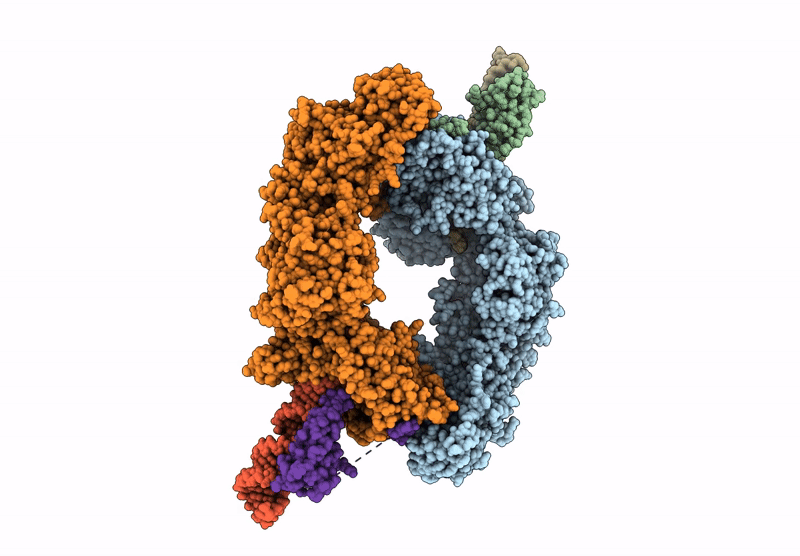 8YIG image