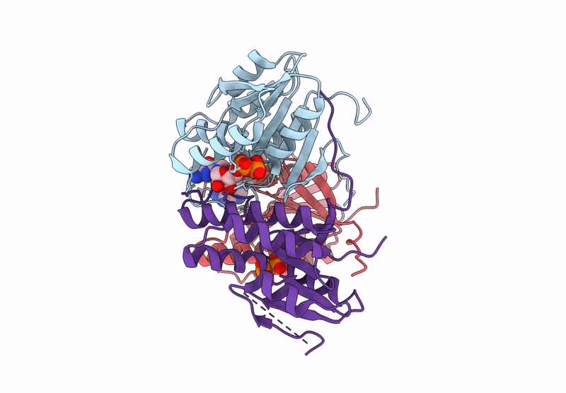 8YKC image