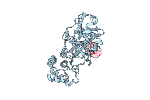 8YLS image