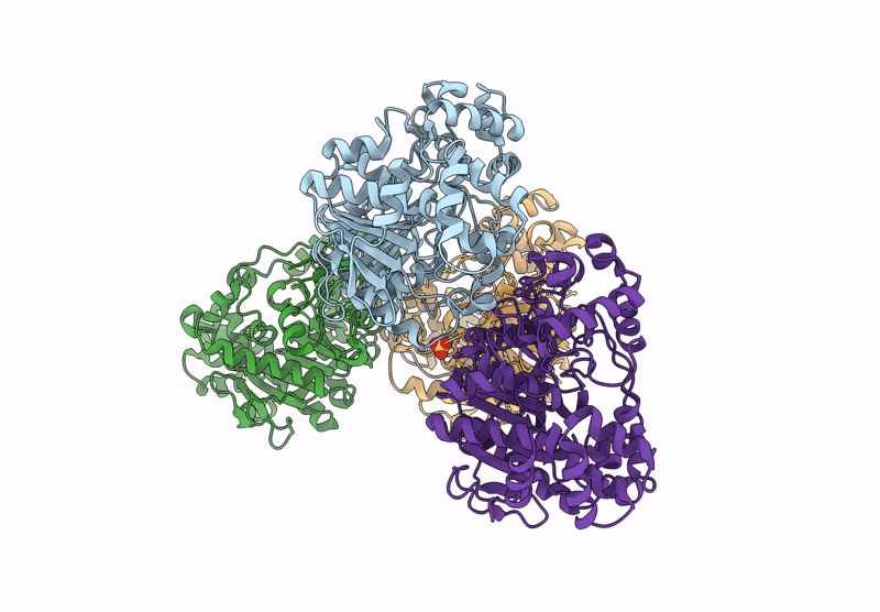 8YMA image