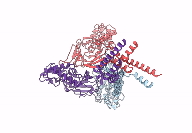 8YMR image