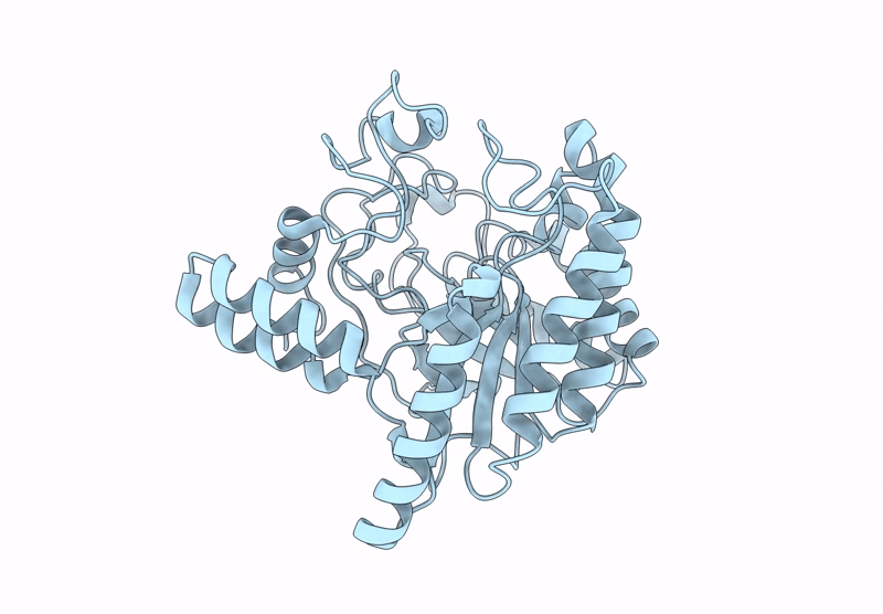 8YMV image