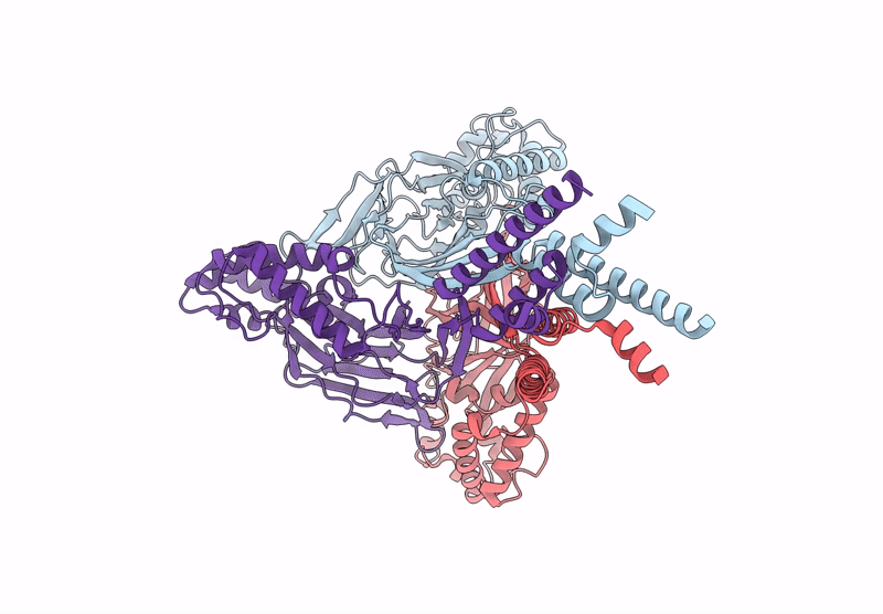 8YMW image