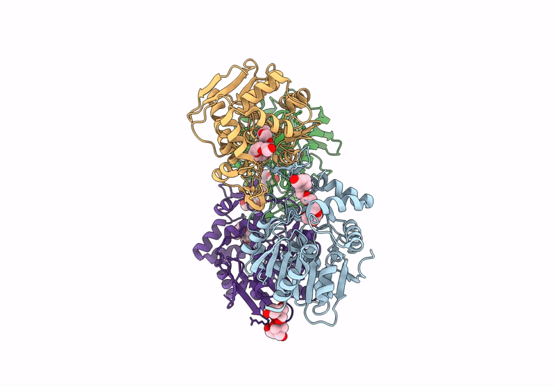 8YNV image