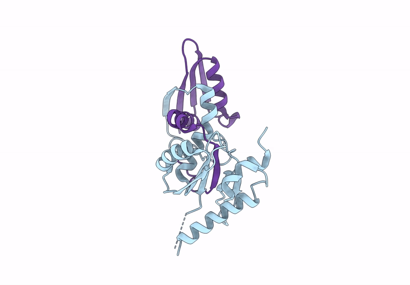 8YNX image