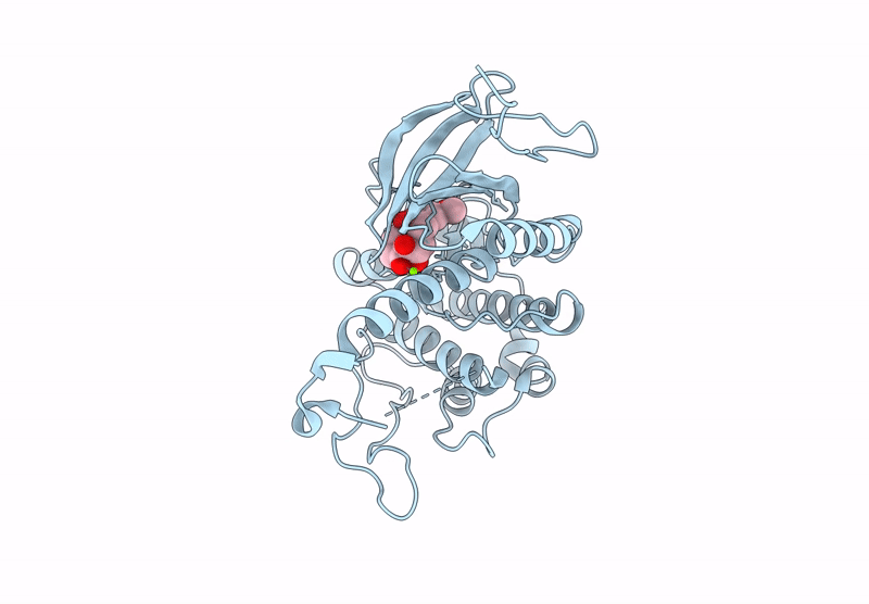 8YP5 image