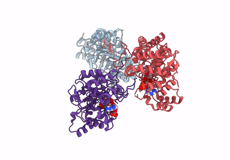 8YP9 image