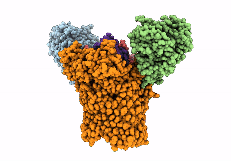 8YPT image