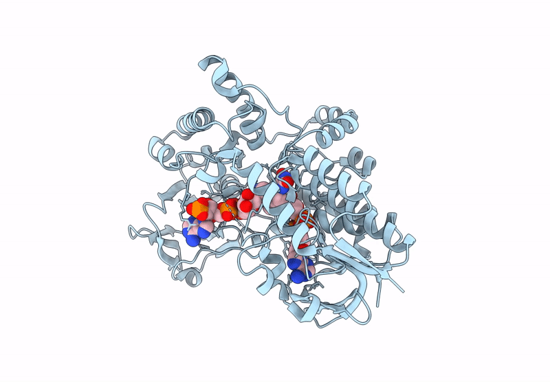 8YQM image