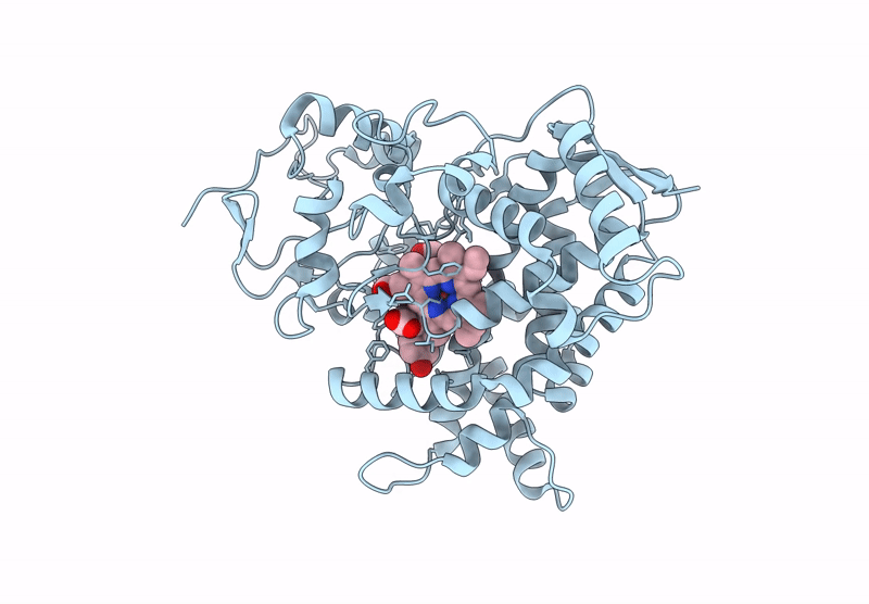 8YQO image