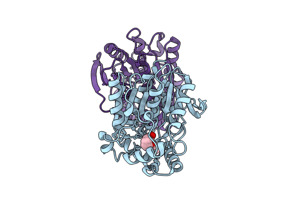 8YQP image