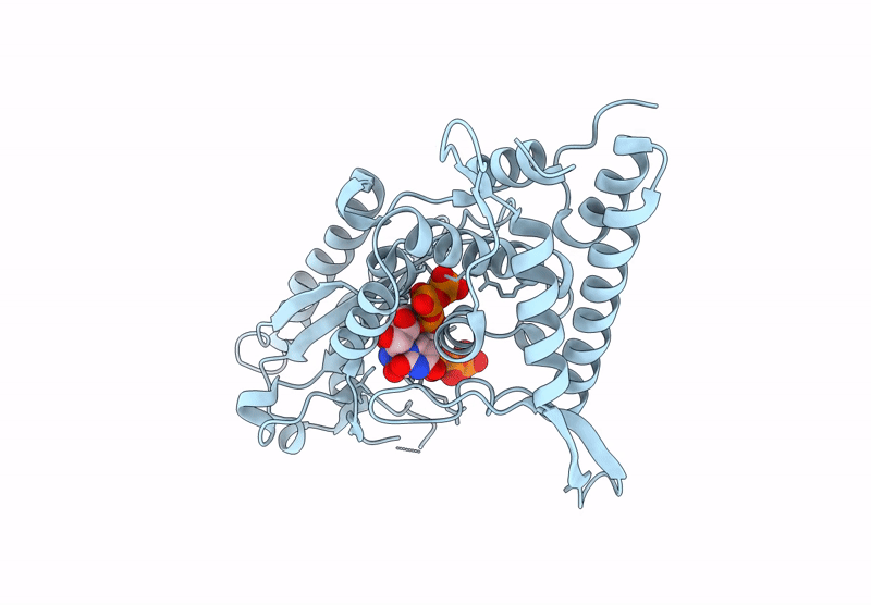 8YSI image