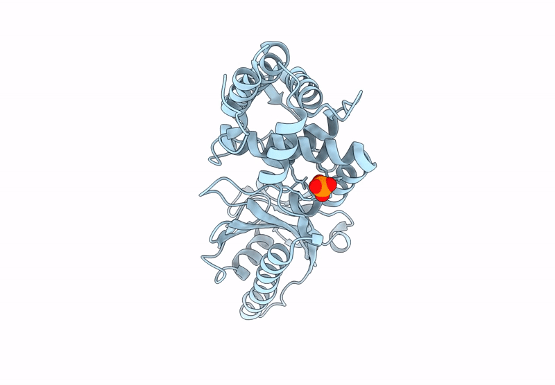 8YSN image