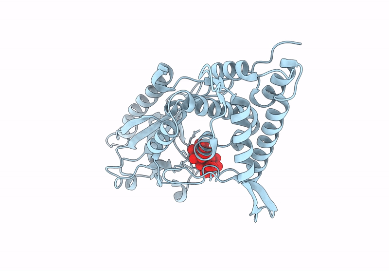 8YSR image