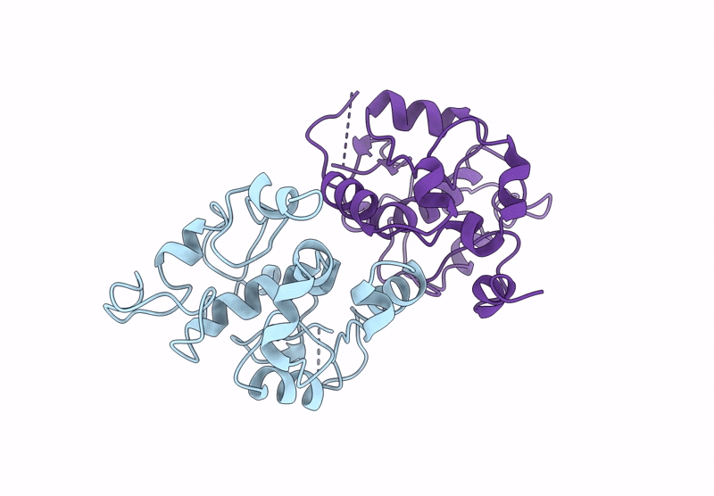 8YTC image