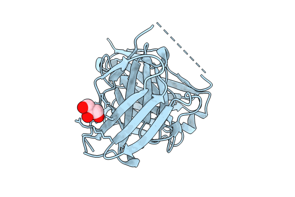 8YTN image
