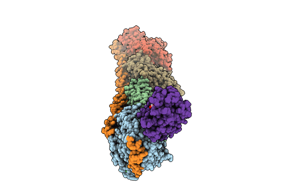 8YTX image